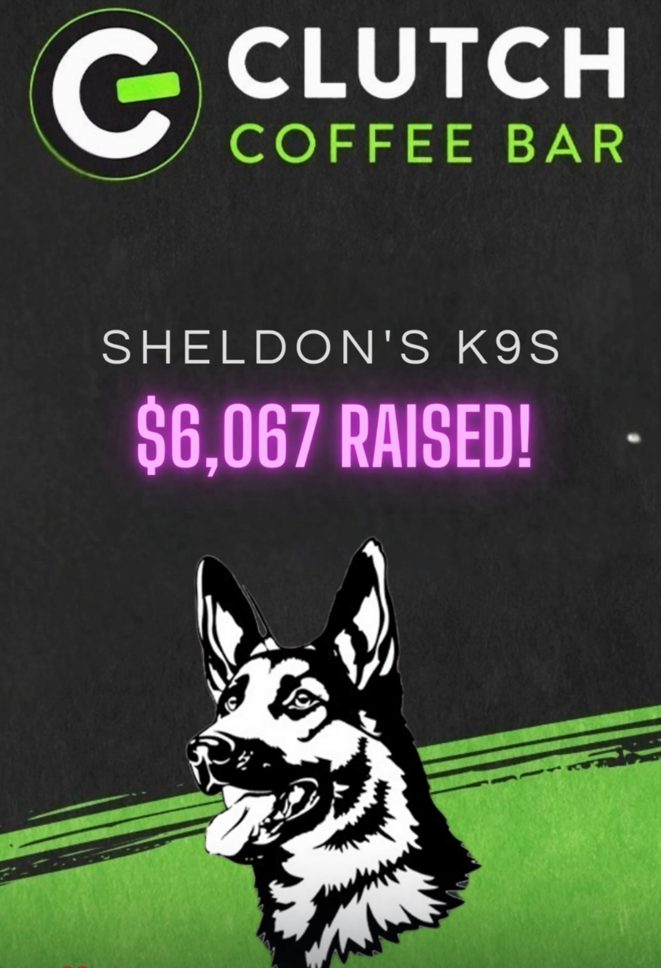 Sheldon’s K9s